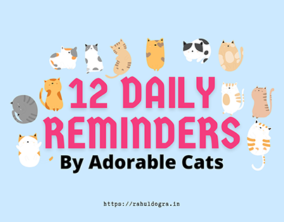 12 Daily Reminders By Adorable Cats
