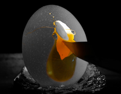 Egg Portraits