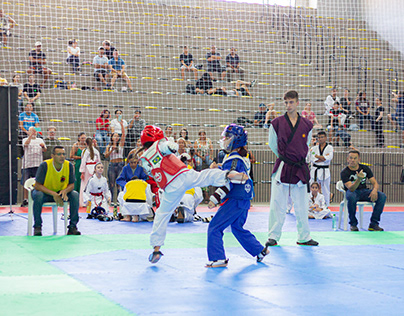 Festival da Amizade de Taekwondo