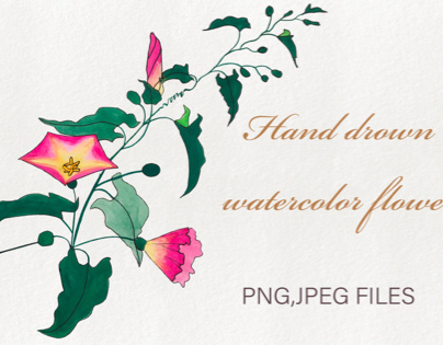 Hand drown watercolor flower