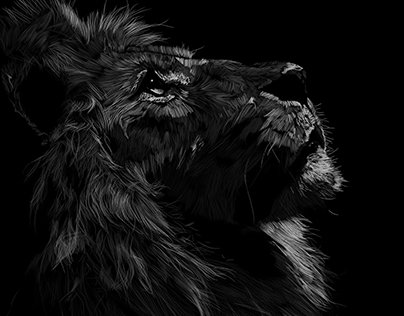 Lion - Ilustration