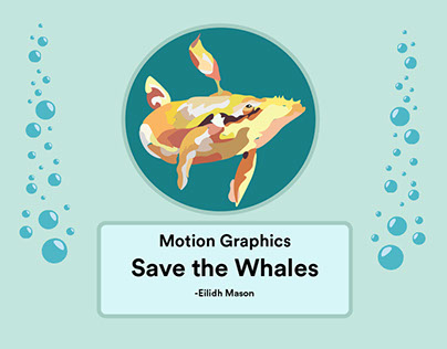 Save the Whales Designs for motion graphic