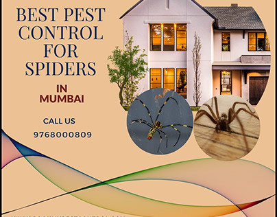BEST PEST CONTROL FOR SPIDERS IN MUMBAI