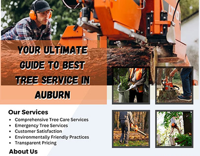 Your Ultimate Guide to Best Tree Service in Auburn