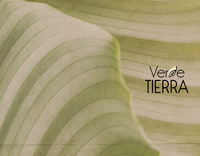 Branding Verde Tierra