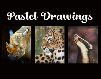 Pastel Drawings - Wildlife artwork