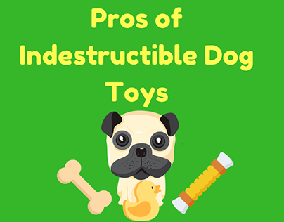 Best Tough Dog Toys: Visual Project