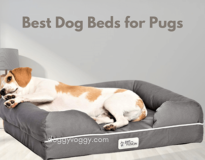 Top 5 Best Dog Beds for Pugs You’ll Love – Buying Guide