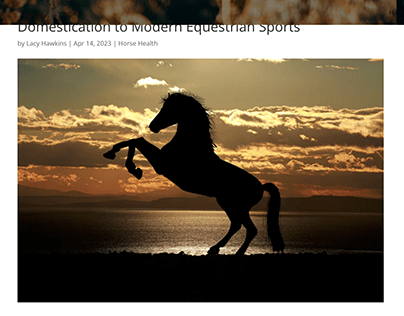 The The Fascinating History of Horses