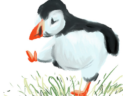 Puffin Party