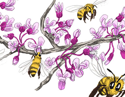 The Wonderful World of the Honey Bee