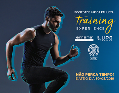 Training Experience 2019