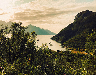 archive: fjords 2019