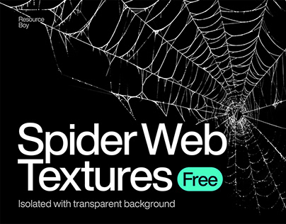 200 Free Spider Web Textures [PNG]