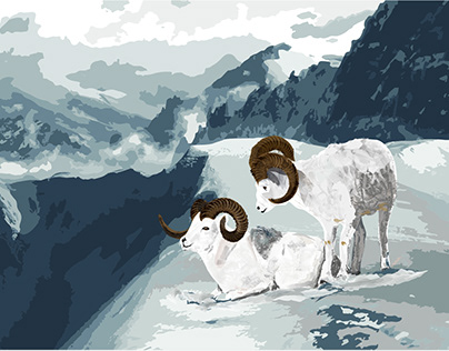 Le mouflon dessin illustration