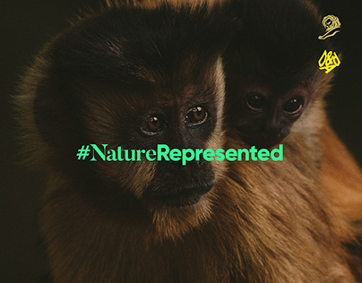 #NatureRepresented