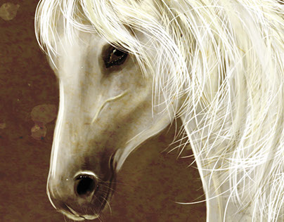Beauty Horse