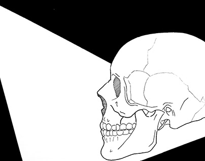 Skull Reference-Drawing II Zine Project