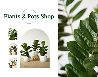 Plants & Pots Shop | E-commerce