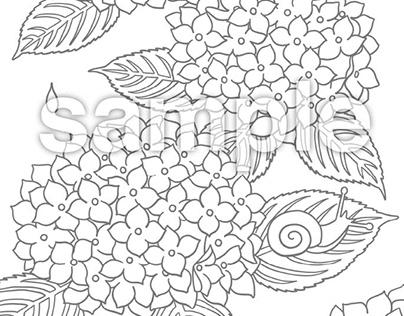 Hydrangea and Birthday Card Coloring Book