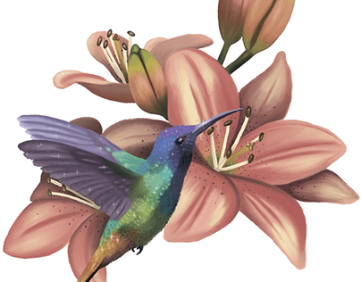 Hummingbird and lilies