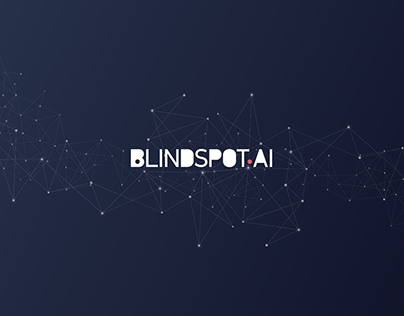 Blindspot websites