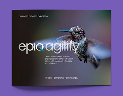 Epiq Systems Legal Services Brochures