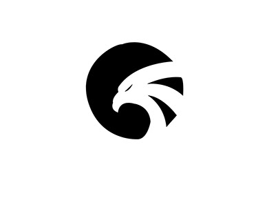 a eagle logo
