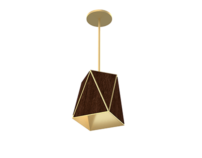 Project thumbnail - pendant lighting unit