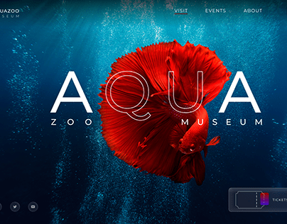 AquaZoo Museum-Landing page