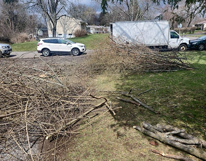Tree Services in Syracuse, NY