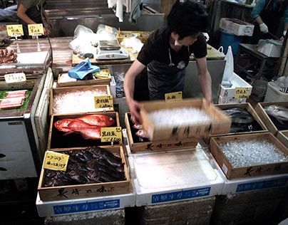 Tsukiji Fish Market, Tokyo