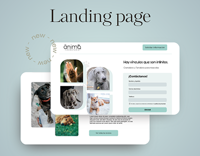 Landing page- Anima