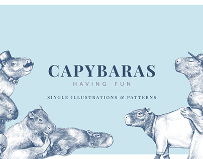 Capybaras Having Fun - Illustrations and Patterns