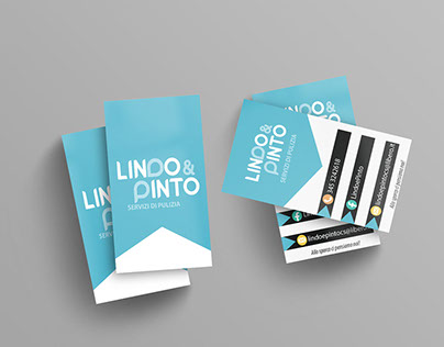 Lindo&Pinto - cleaning services