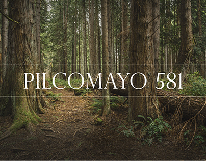 Pilcomayo 581