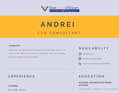 Andrei S. - Interim CTO Consultant