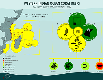 RLE of the Western Indian Ocean Coral Reefs