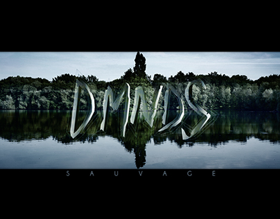 Project thumbnail - DMNDS "Sauvage" -clip // Artwork