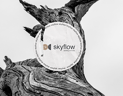 Skyflow - mobile app for SMS broadcasting