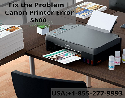 Fix the Problem | Canon Printer Error 5b00