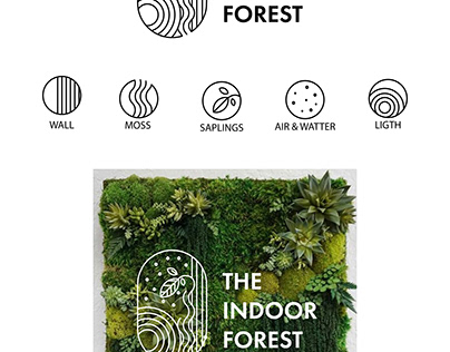 Branding design l The Indoor Forest Canada