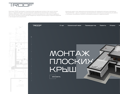 Roof service website - TROOF