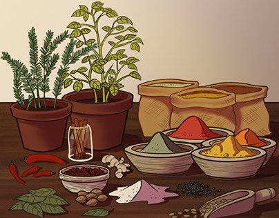 Spices, editorial illustration