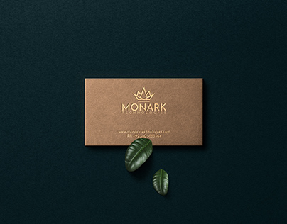 Monark Technologies Brandmark Identity