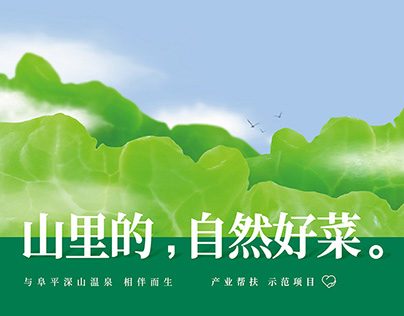 XiaBao Hot spring vegetable|扶贫项目-下堡温泉菜品牌设计