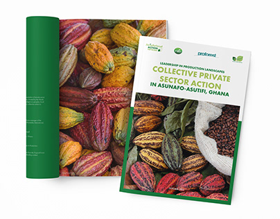 African Cocoa case study