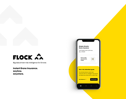 Flock (Redesigning the Insurance) - Case Study