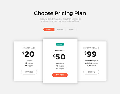 Pricing Plan UI Design
