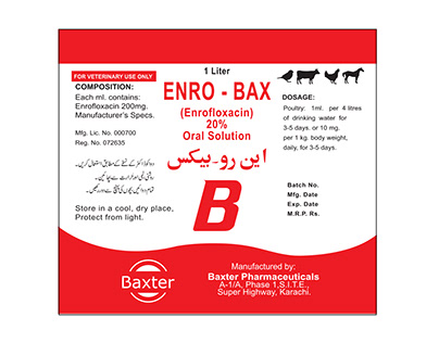 Enro Bax Suspension Design
